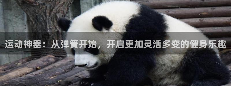 fb体育官方:运动神器:从弹簧开始,开启更加灵活多变的健身乐