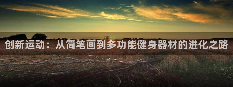 fb平台体育:创新运动:从简笔画到多功能健身器材的进化之路