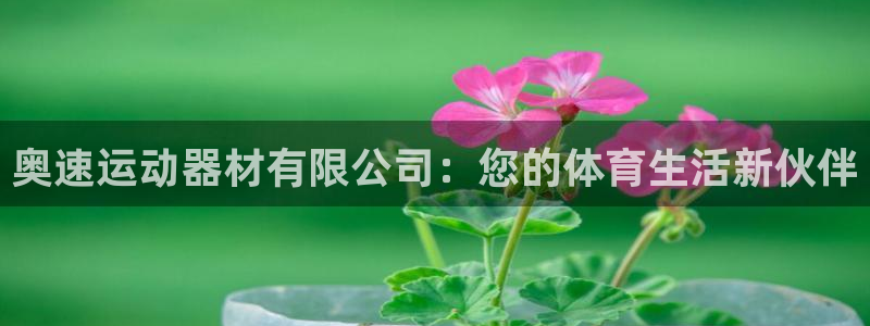 fb集团官网:奥速运动器材有限公司:您的体育生活新伙伴
