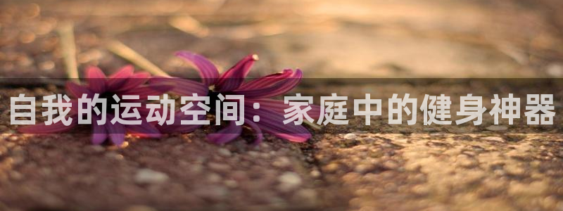fb体育娱乐代理怎么样:自我的运动空间:家庭中的健身神器
